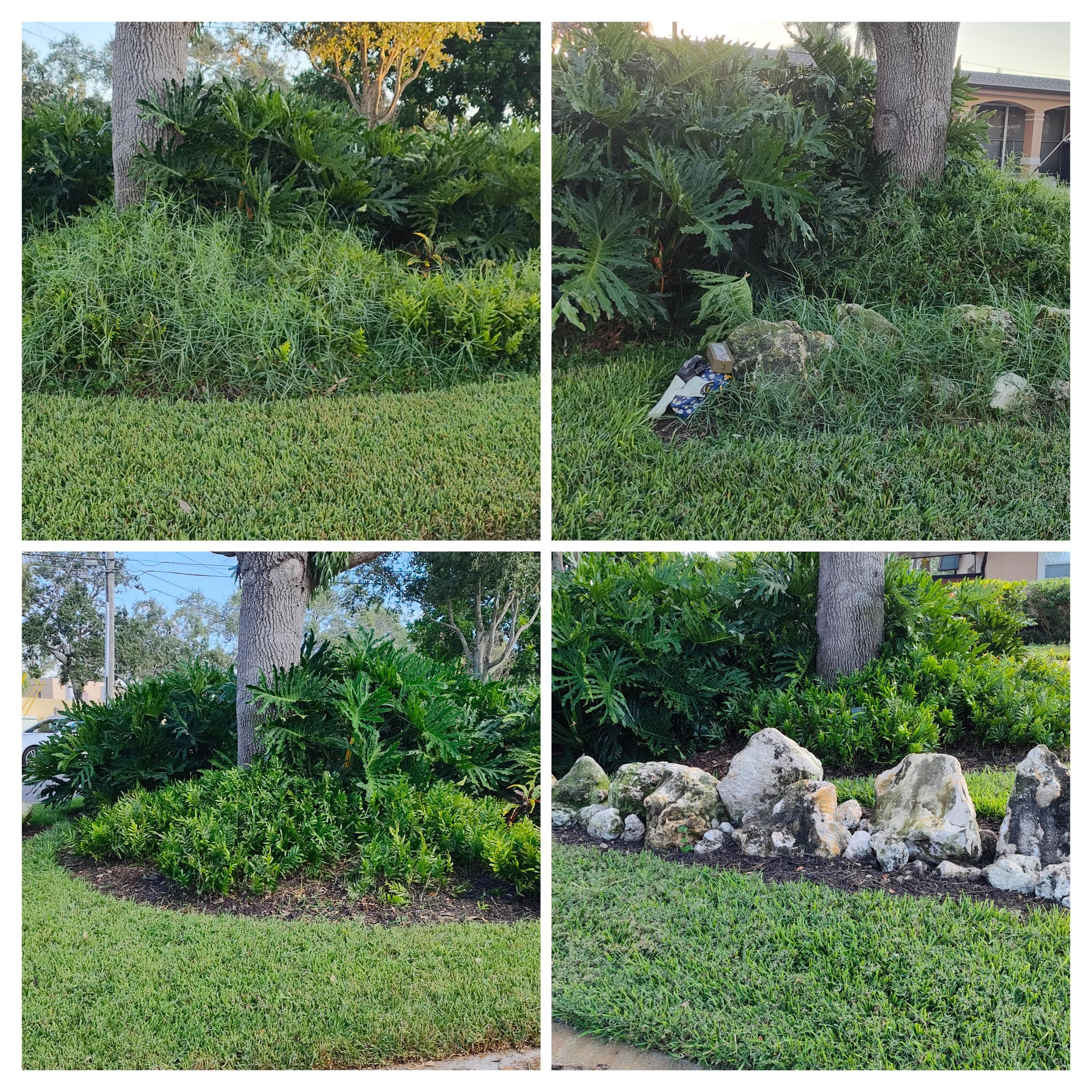 Lawn Care St Pete