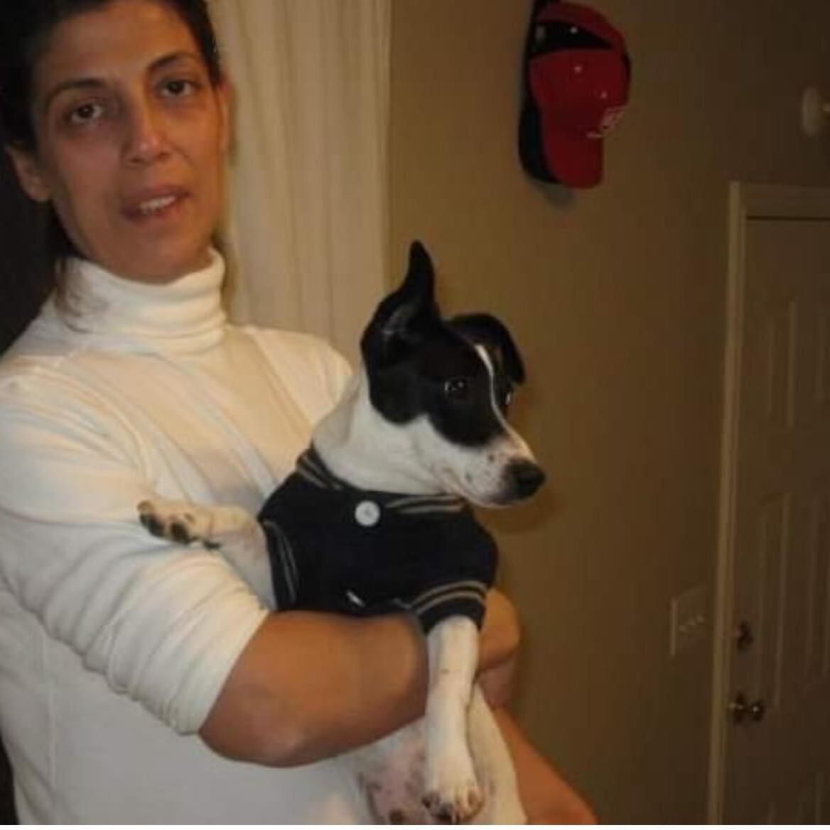 North York, ON Pet Sitter Needed! 20/day Care for Loyal Animal