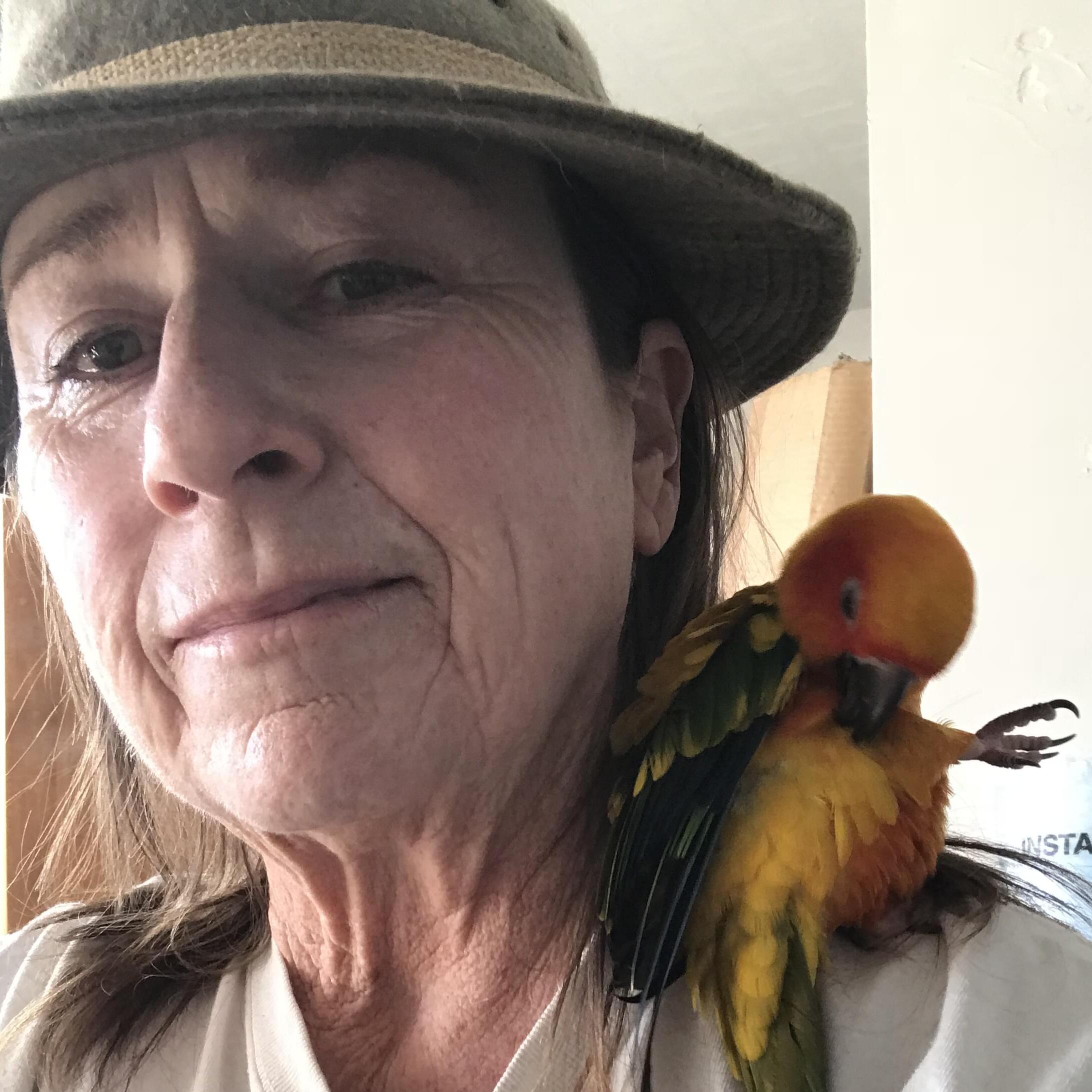 We’re FlippinDisabilities, finding and disabling barriers to rich