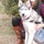 Pet Sitter