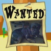 I am a reliable pet sitter