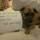 Home Alone PetCare