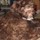 ~  My name is Cindy ~ Let me worry about your beloved pets!