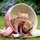Tiny Teacups Learning Center