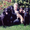 Over 10 yrs experience.  All breeds and animals welcomed.   Bonded / Insured
