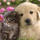 Enjoy a Worry-Free Vacation with Caring In-Home Pet Sitting