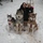 Petsitter and dog walker