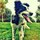 The Fetching Hound, llc