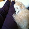 Puppy love! 