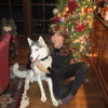 Need a petsitter to take care of my 1 yr old Siberian Husky