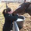 Dedicated, Reliable Pet Sitter