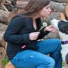 Life long animal enthusiast seeking to watch and care for your animals  
