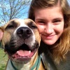 Trained by the MSPCA dog walker, lots of experience with small dogs and big dogs, passionate about dogs!!
