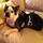 Looking for a pet sitter in Tinley Park IL