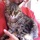 Your Family's Friend LLC Pet Sitting Services