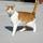 Responsible House-Sitter with References