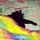 Mutts & Fluffs Pet Sitting & Care Services