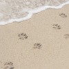 Paws On The Beach Dog Walking