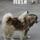 MUSH Dog Walking Service (South Cumberland, MD)