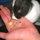 Dog Sitting in Ocean Pines Maryland 21811