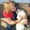 I love pets.I 15+ years pet and ranch experience.                                                      