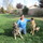 Katia's Pet Sitting & Dog Walking Friend
