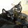 Live-in Pet Sitter for Oct 13