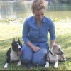 Experienced Pet Sitter & Dog Walker