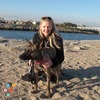 Dog Walking, Dog Hiking and Dog Sitting Services!