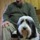 Walk Around Pet Service