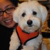 Rosey Dog Care