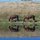 Pets & Horses Too