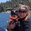 Experienced Babysitter/ Dog sitter/ House Sitter (Weekends only)