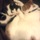Pet sitter needed in September