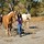 Experienced Pet Sitter