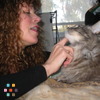Loving Cat Sitter & House Sitter too!