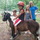 Afterschool Program and Summer Camps-Dog Boarding and Grooming