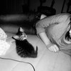 I make a connection with animals,any shape,size,or breed,domestic or wild,and i love them deeply