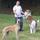 Professional In-Home Pet Care - Insured * Bonded