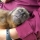 Will petsit any animal anywhere in the world for any length of time