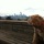 Puget Hounds Dog Services (Queen Anne)
