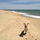 LOOKING FOR PART TIME DOG SITTER (FOR 3 Y/O GOLDEN RETRIEVER) IN ASHLAND, MA