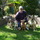 I LOVE YOUR PET! Dog Walker/Pet Sitter - (San Diego)
