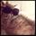 need a responsible cat sitter for labor day weekend