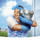 Cleaning services (northeast,north central, north)