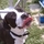 Enthusiastic and Loviing Pet Sitter