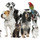 Pet Sitting/Dog Walking-Buffalo Grove
