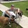 Petsitting / Doggie Daycare / Doggie Hotel
