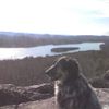 Me & My Shadow Pet Services - We treat your furry family as if they were our very own!