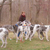PlayTime Pet Care Services, affordable and reliable pet care in your home or ours.
